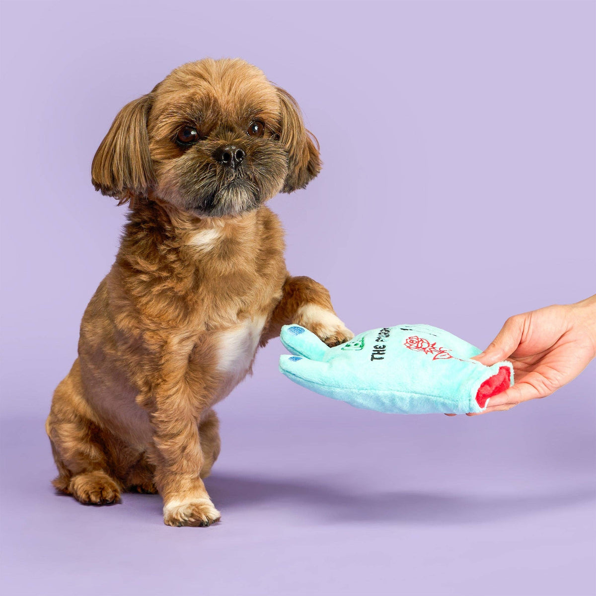 Lost Hand Nosework Toy