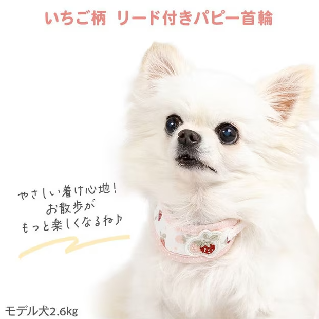 Collar with Leash Little Berry