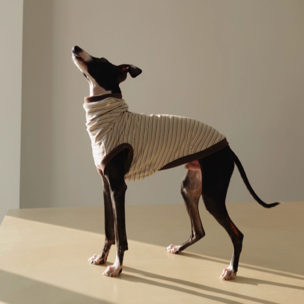 Choco Crepe Velvet Thermal Top with Hood