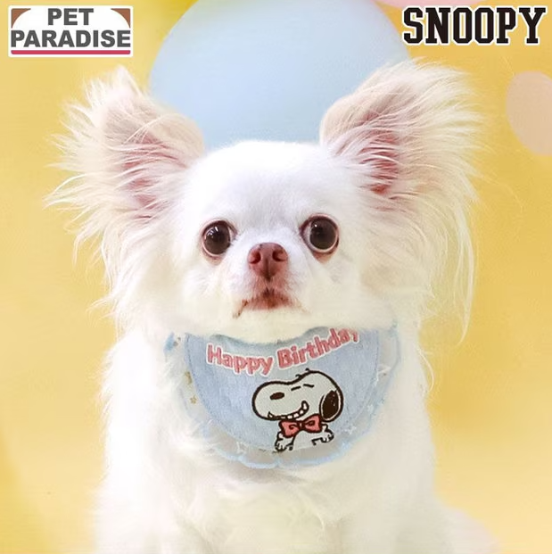 Birthday Snoopy Bib