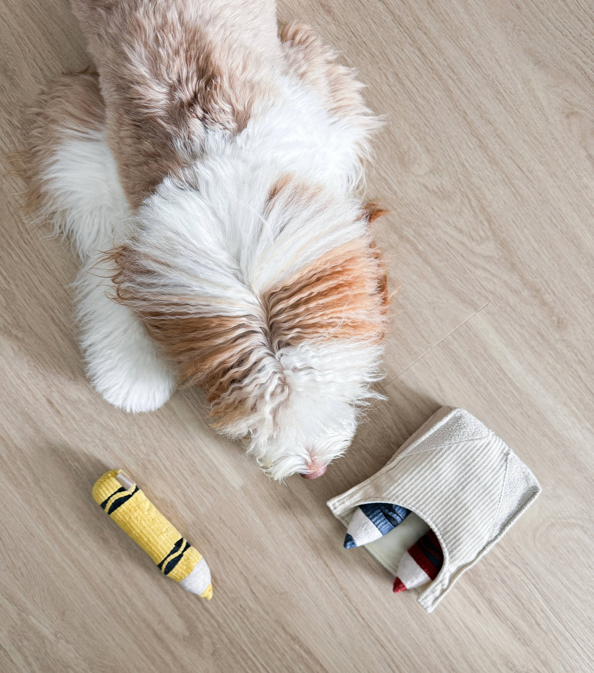 Crayons // Enrichment Toy | Squeaky + Snuffle Set