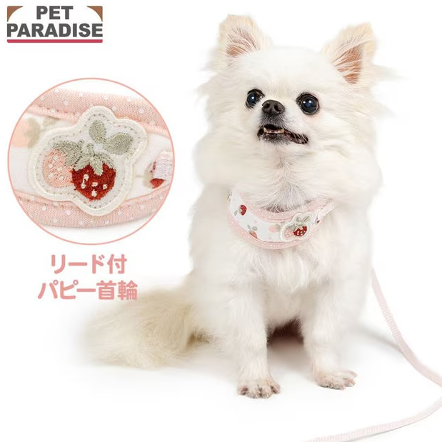 Collar with Leash Little Berry