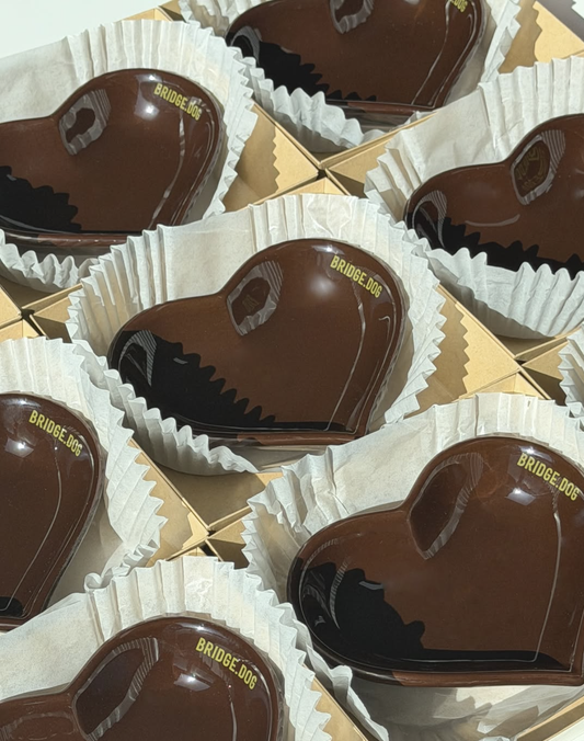Bridge Dog Heart Dish Dubai Chocolate Edition