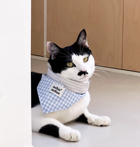 Double-Sided Summer Plaid Top