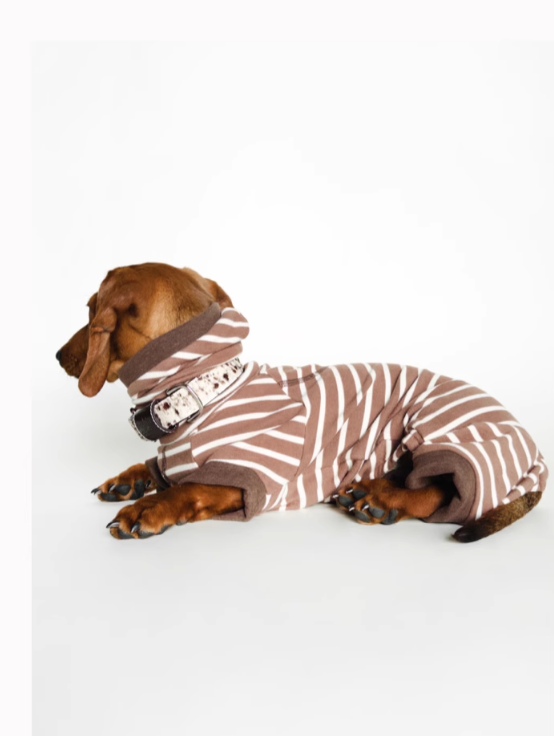 Achin Action DG Leather Collar