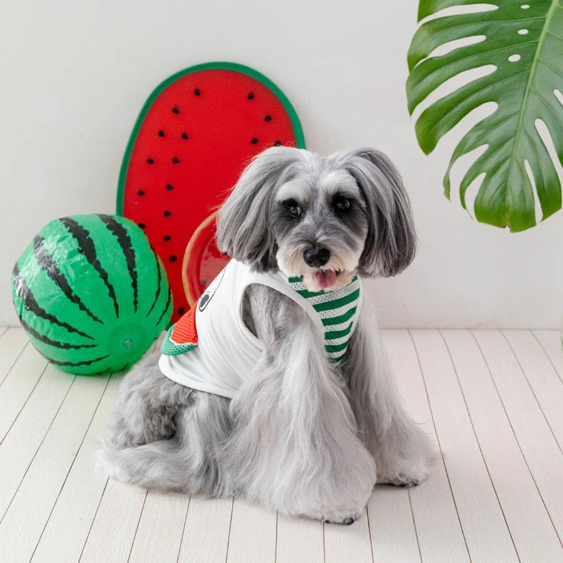 Snoopy Watermelon Pocket Tank Top