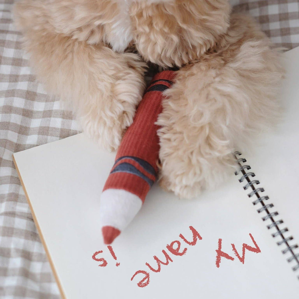 Crayons // Enrichment Toy | Squeaky + Snuffle Set