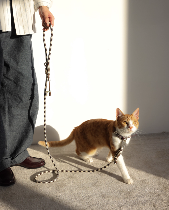 Diamond Lattice Braided Leash with Beads