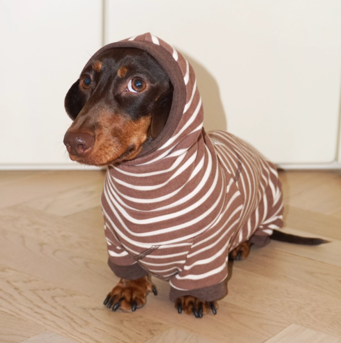 Achin Action Round Cap Heating Four-Legged Suit Dark Brown