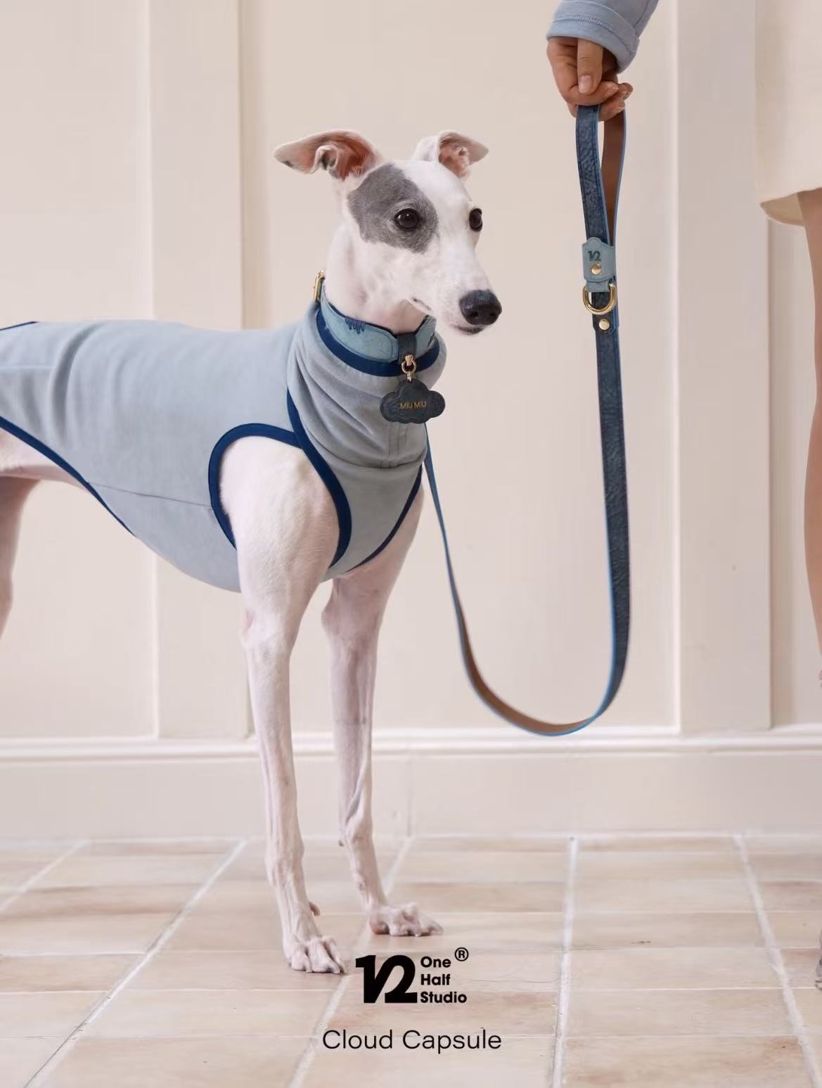 The Cloud Capsule Leather Pet Collar