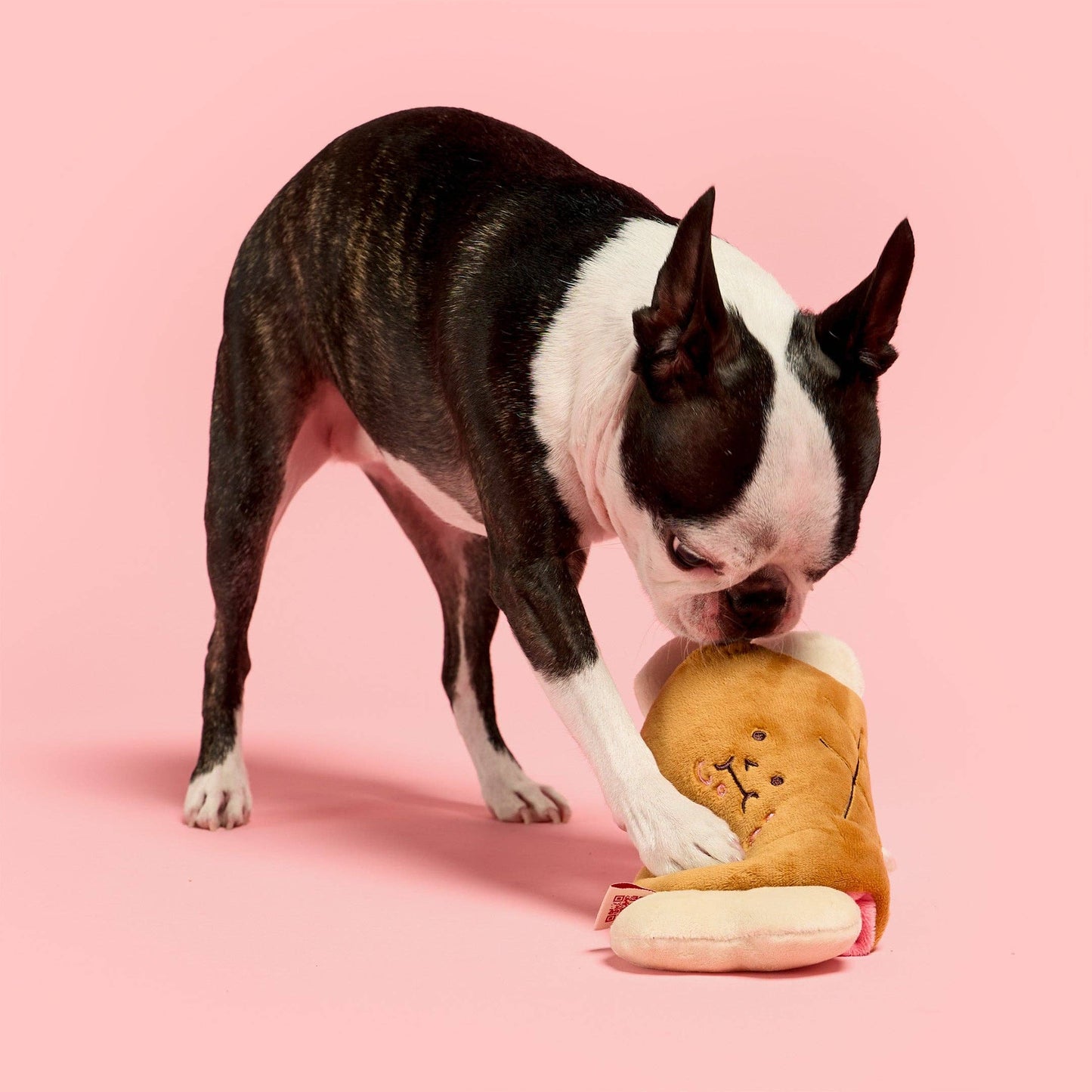 FurryFolks Bone Appétit Nosework Toy