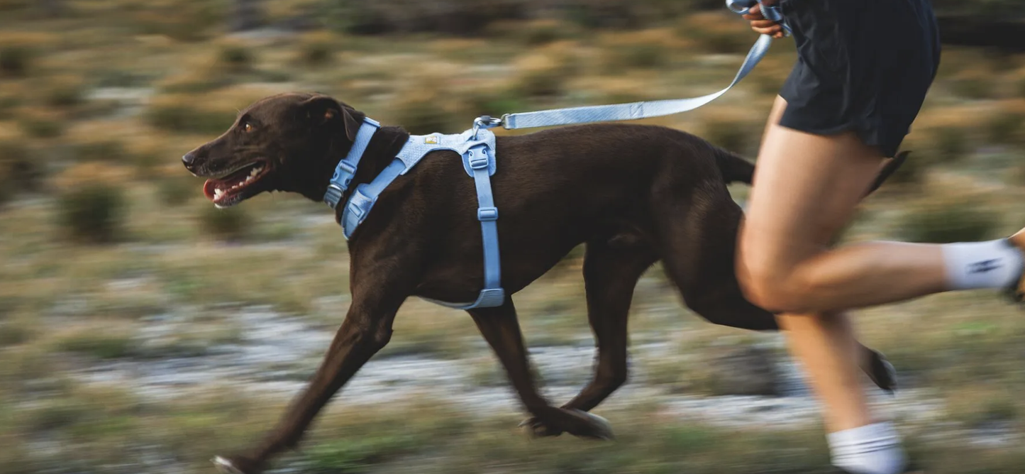 Ruffwear Front Range Flex Harness Polar Blue