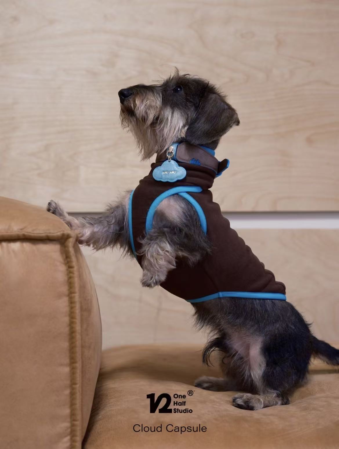 The Cloud Capsule Leather Pet Collar