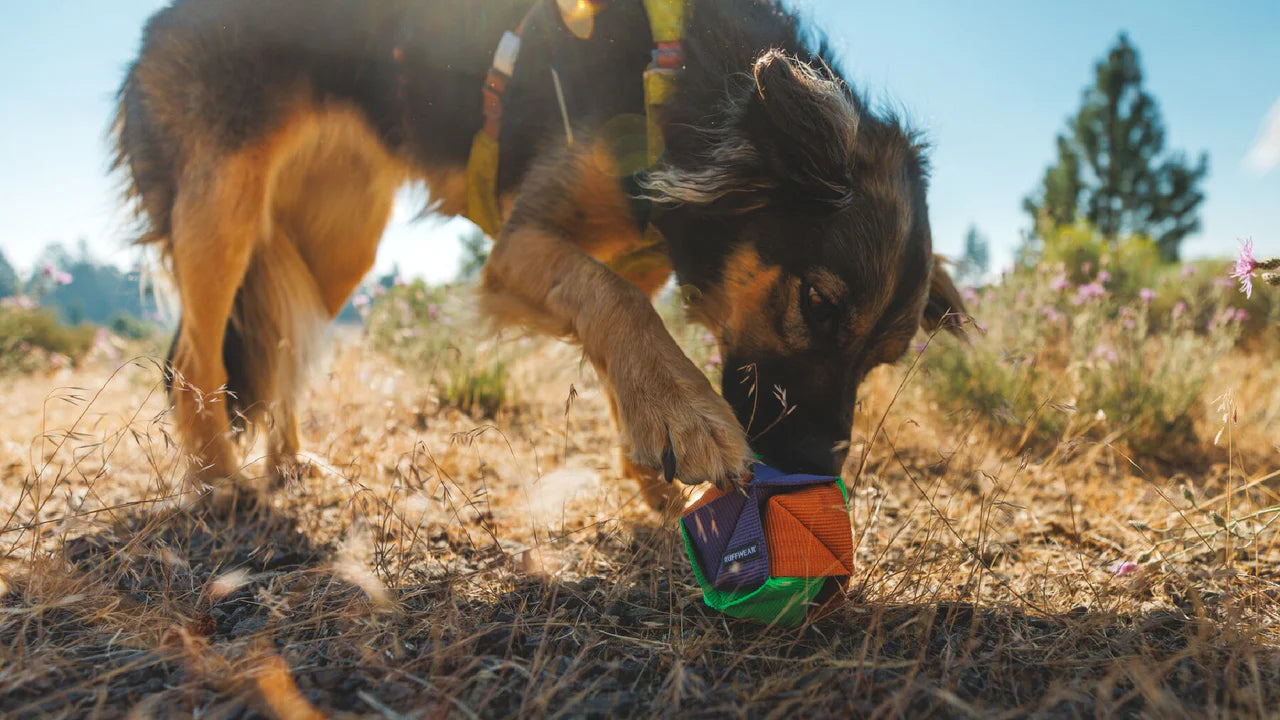 Ruffwear Webbing Remix Dog Ball Toy