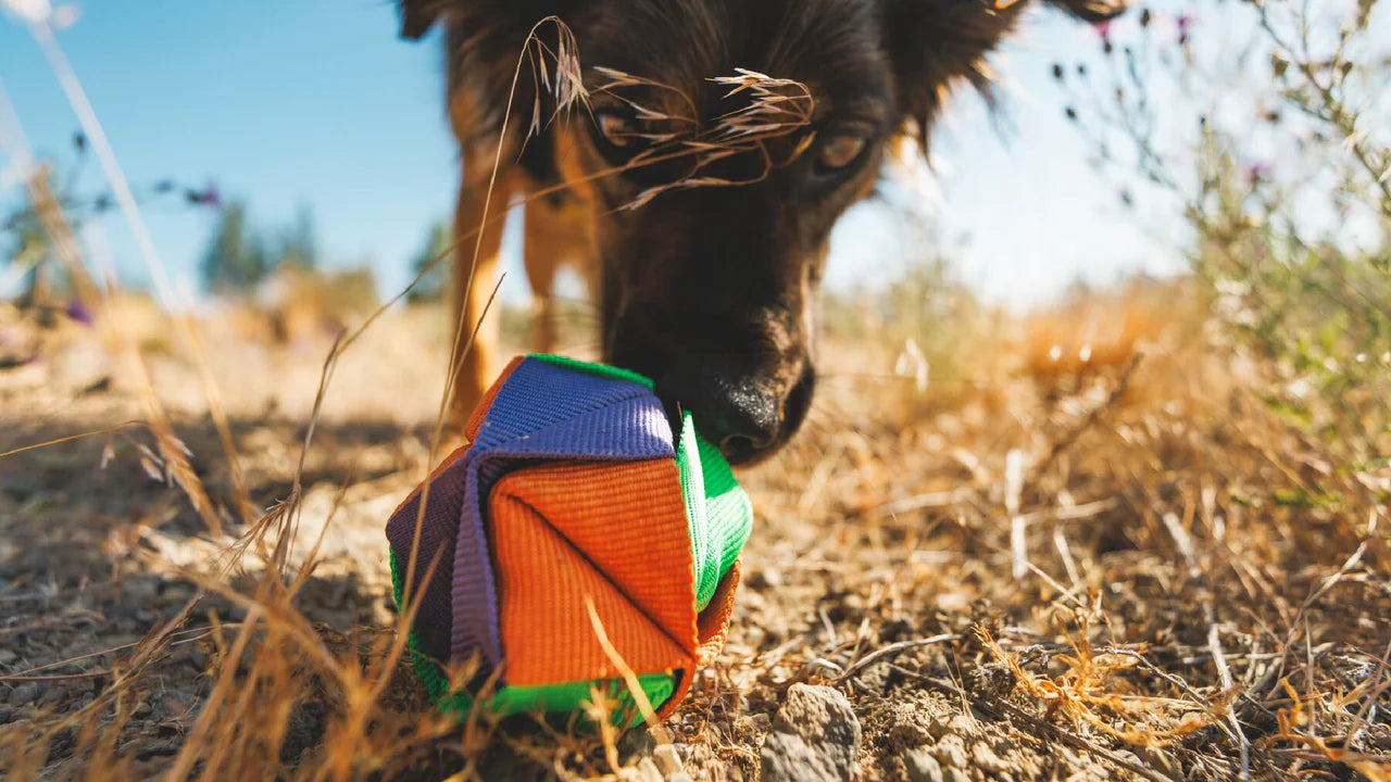 Ruffwear Webbing Remix Dog Ball Toy
