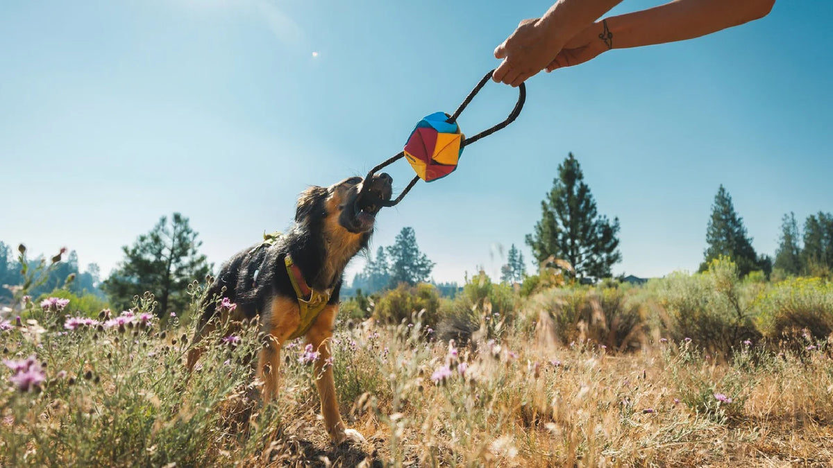Ruffwear Webbing Remix Dog Tug Toy