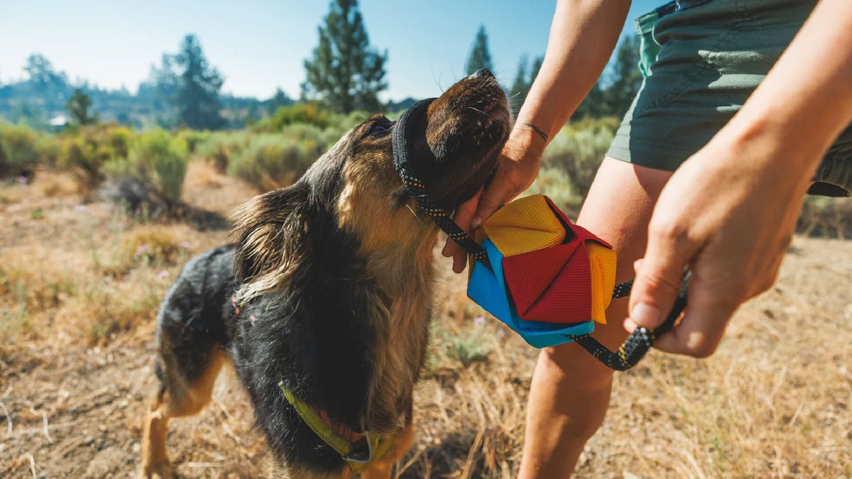 Ruffwear Webbing Remix Dog Tug Toy