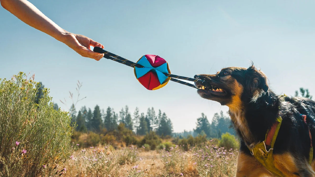 Ruffwear Webbing Remix Dog Tug Toy