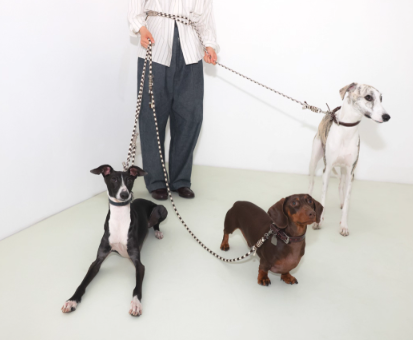 Diamond Lattice Braided Leash with Beads