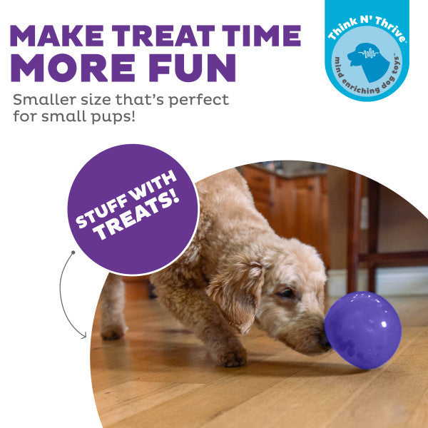Orbee-Tuff Snoop Interactive Treat Dispensing Toy Small