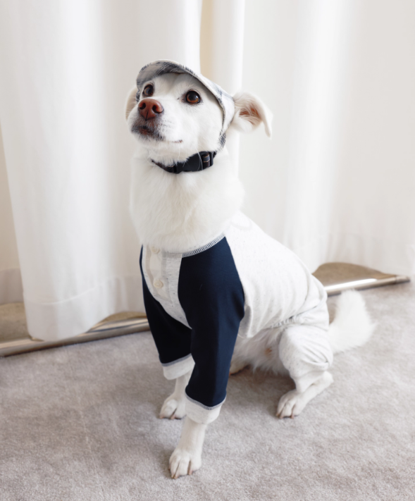 LG Series UPF50+ Anti-Bacterial Cooling Four-Legged Suit