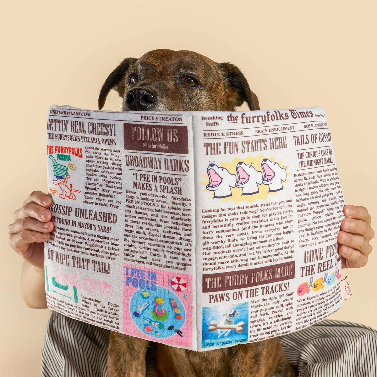 Newspaper Issue No. 2 Nosework Toy