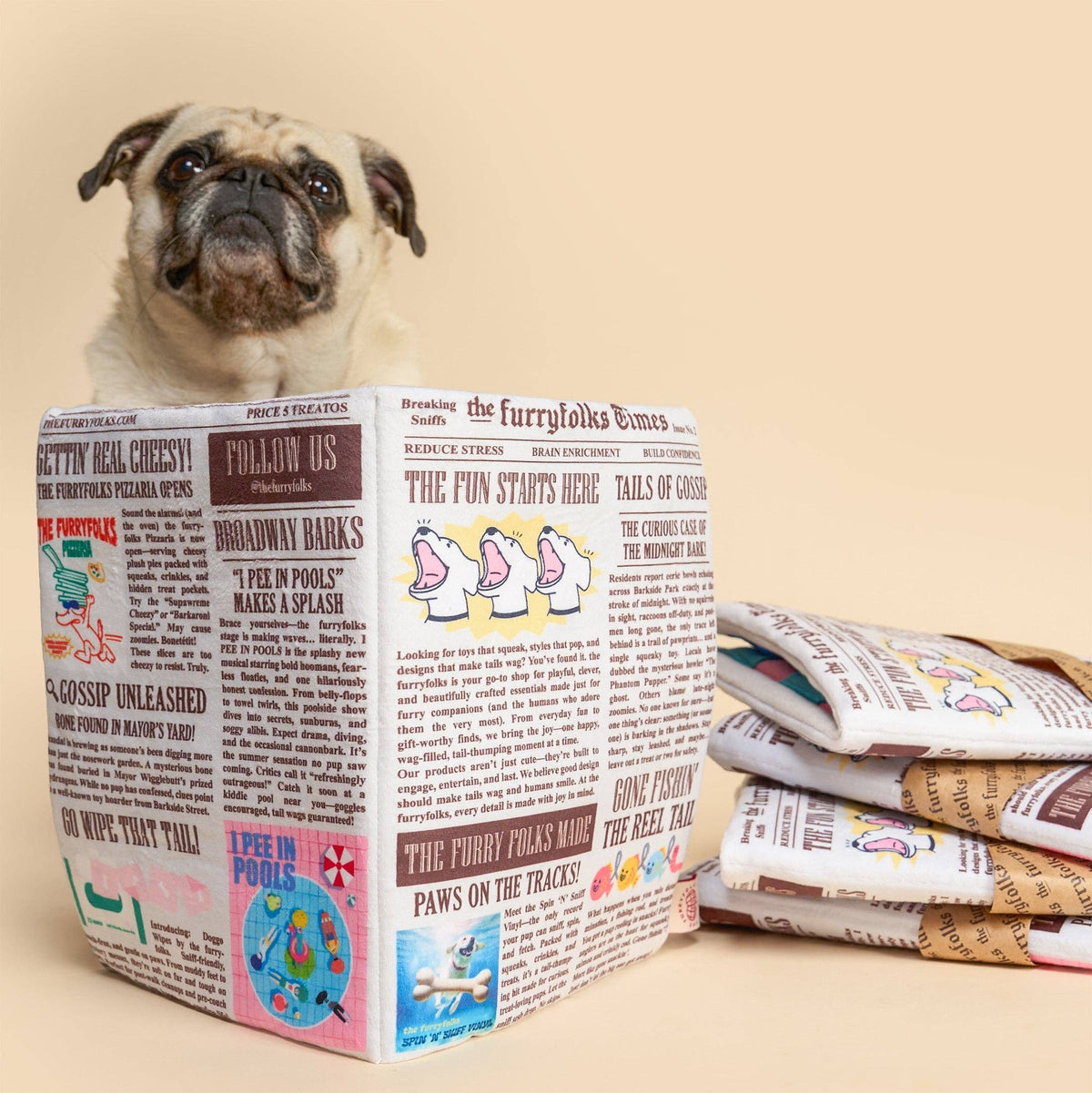 Newspaper Issue No. 2 Nosework Toy