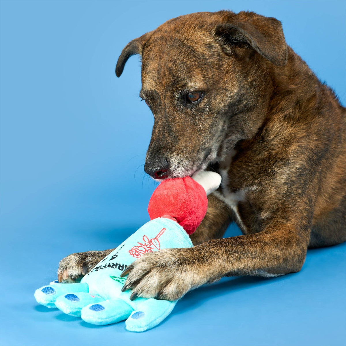 Lost Hand Nosework Toy