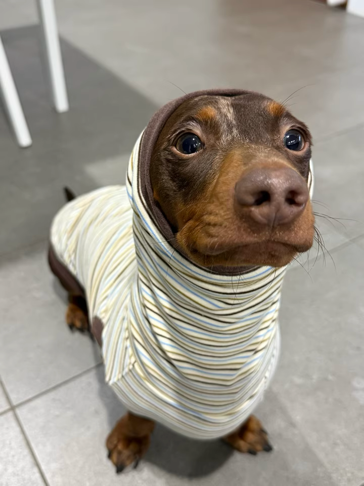 Choco Crepe Velvet Thermal Top with Hood