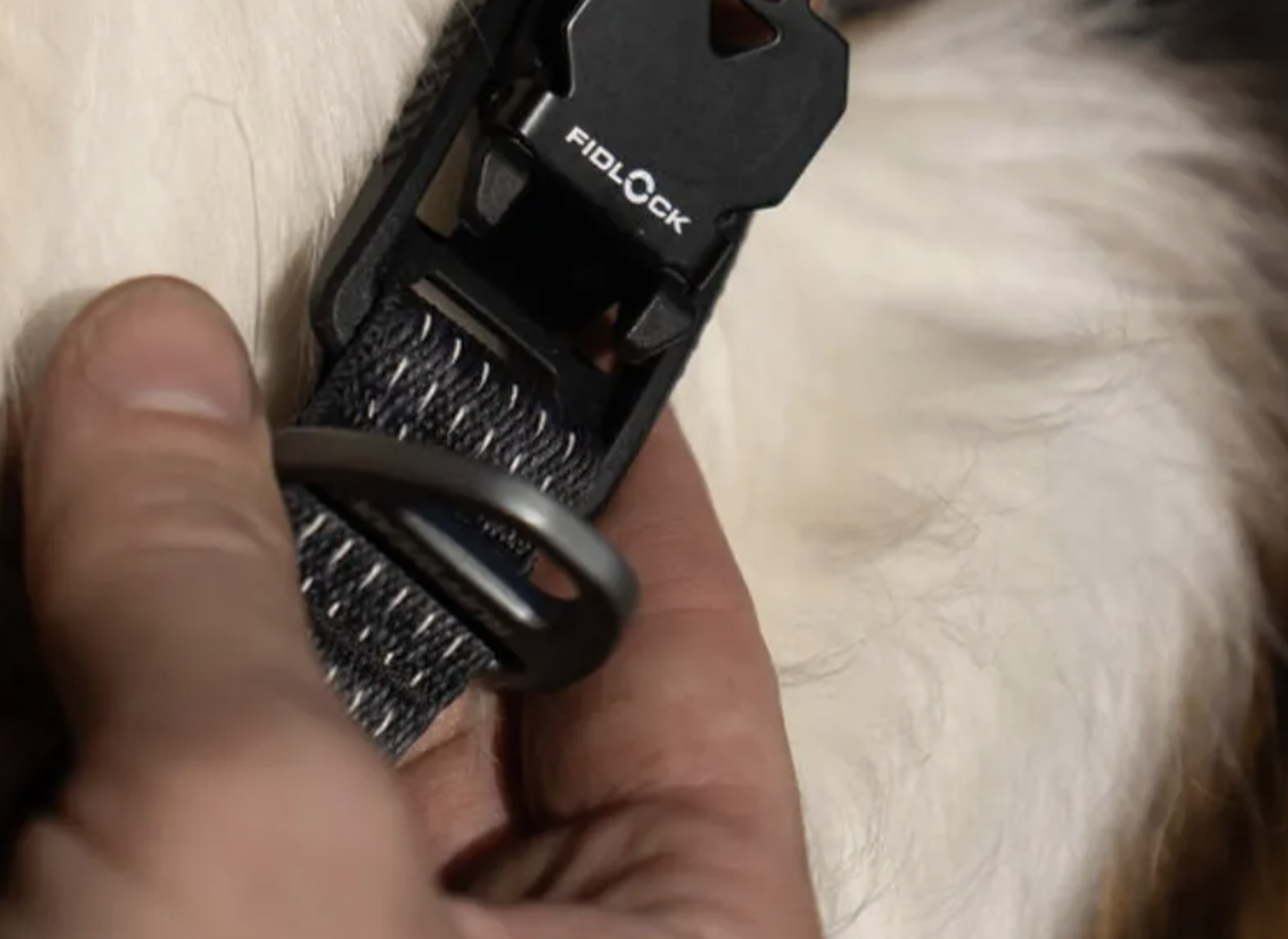 Ruffwear RIDGELINE Collar Obsidian Black