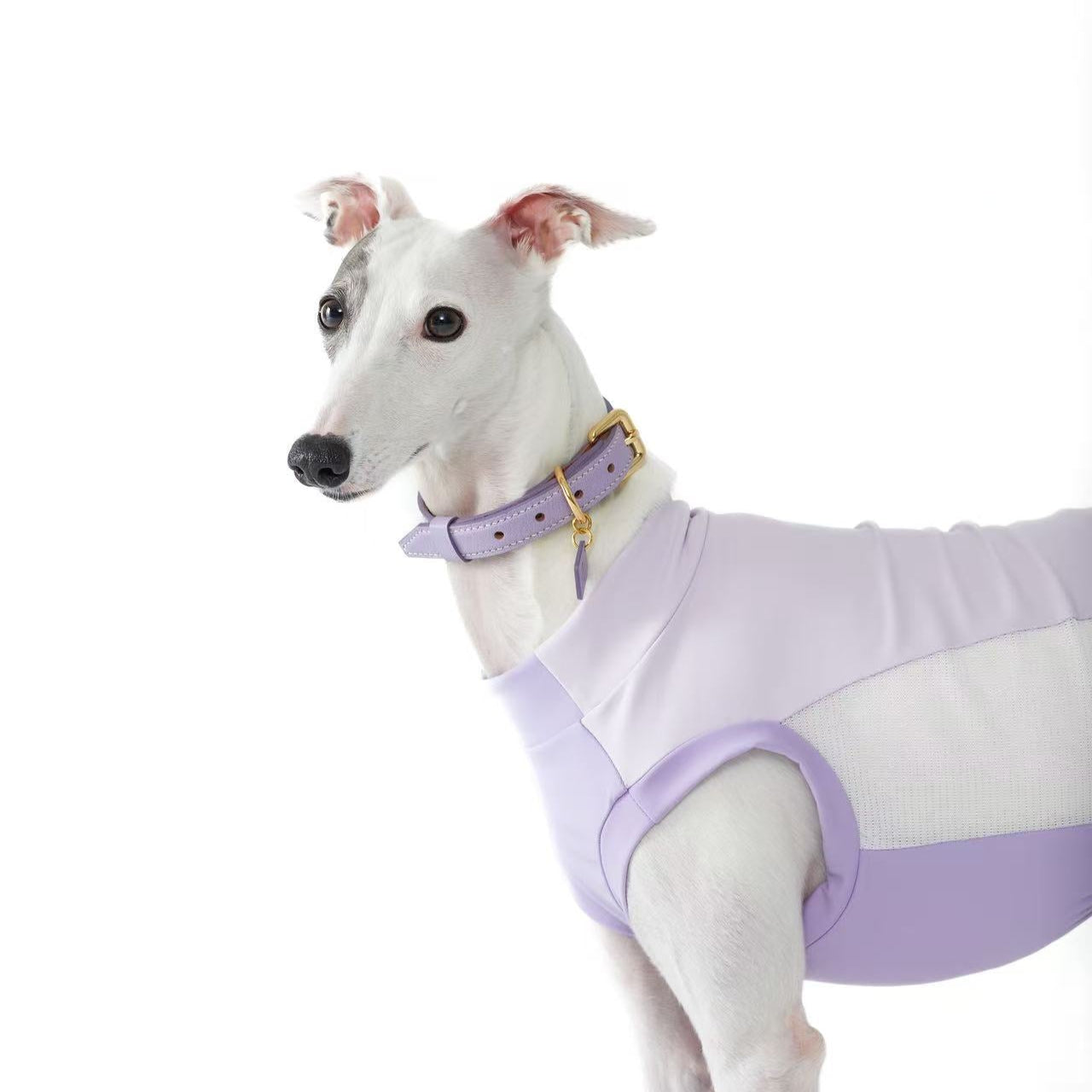 French Lambskin Leather Collar Set Periwinkle Cream