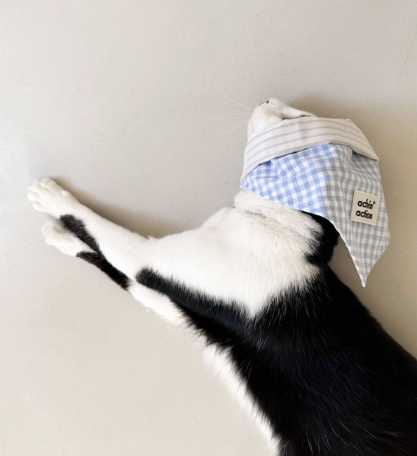 Double-Sided Summer Plaid Top