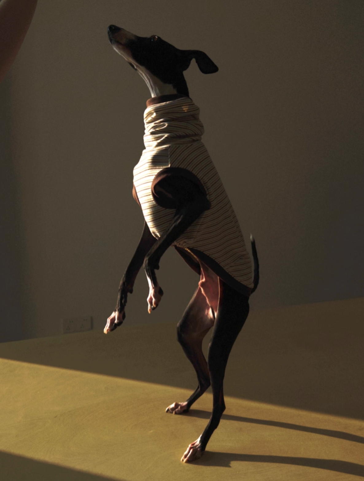 Choco Crepe Velvet Thermal Top with Hood