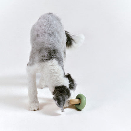 Gori U-Ring Puzzle Toy