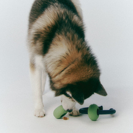 Dango Ring Puzzle Toy
