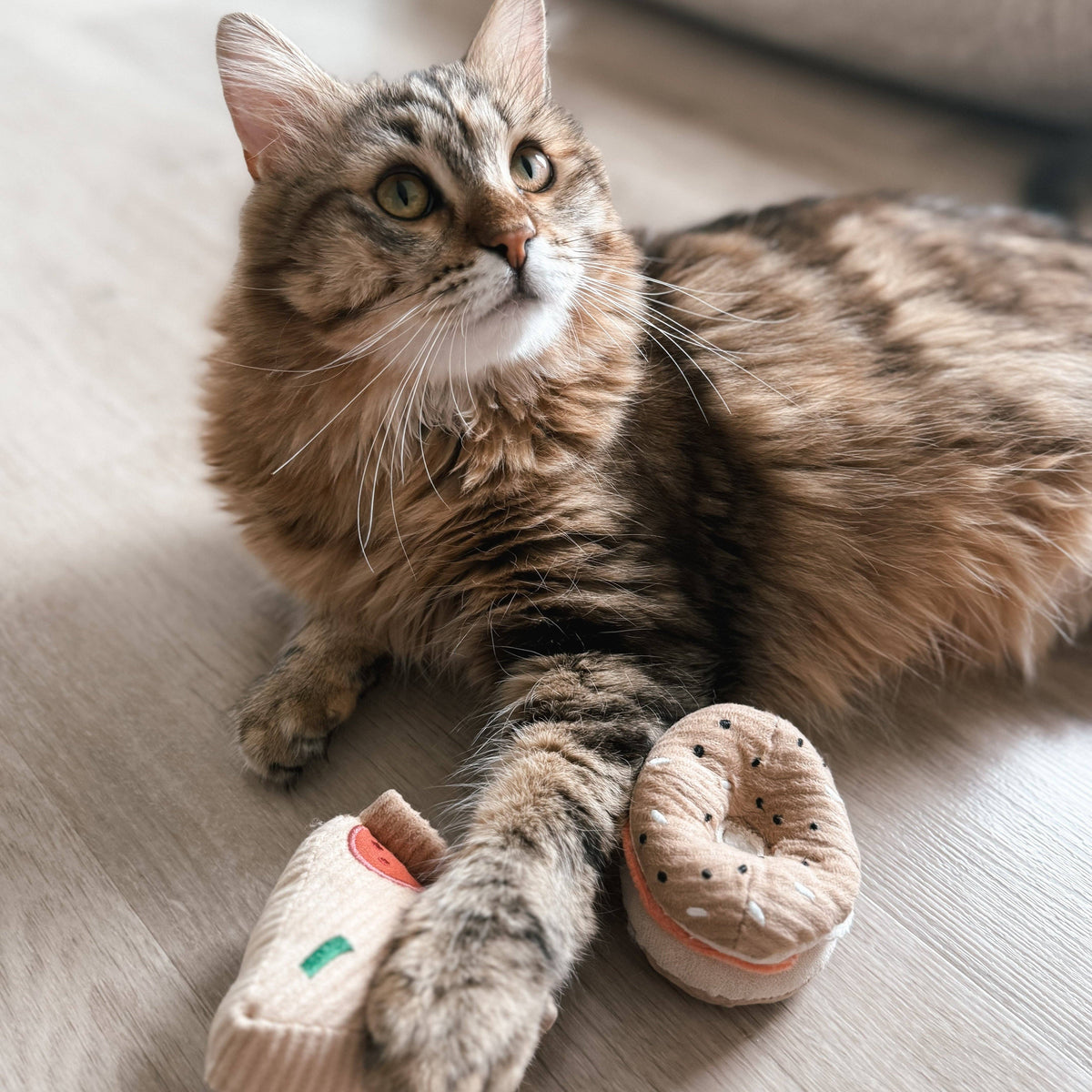 Kitty Pizza & Bagel Set | Cat Toy