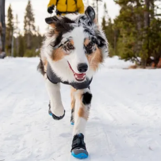 Ruffwear Polar Trex Shoes