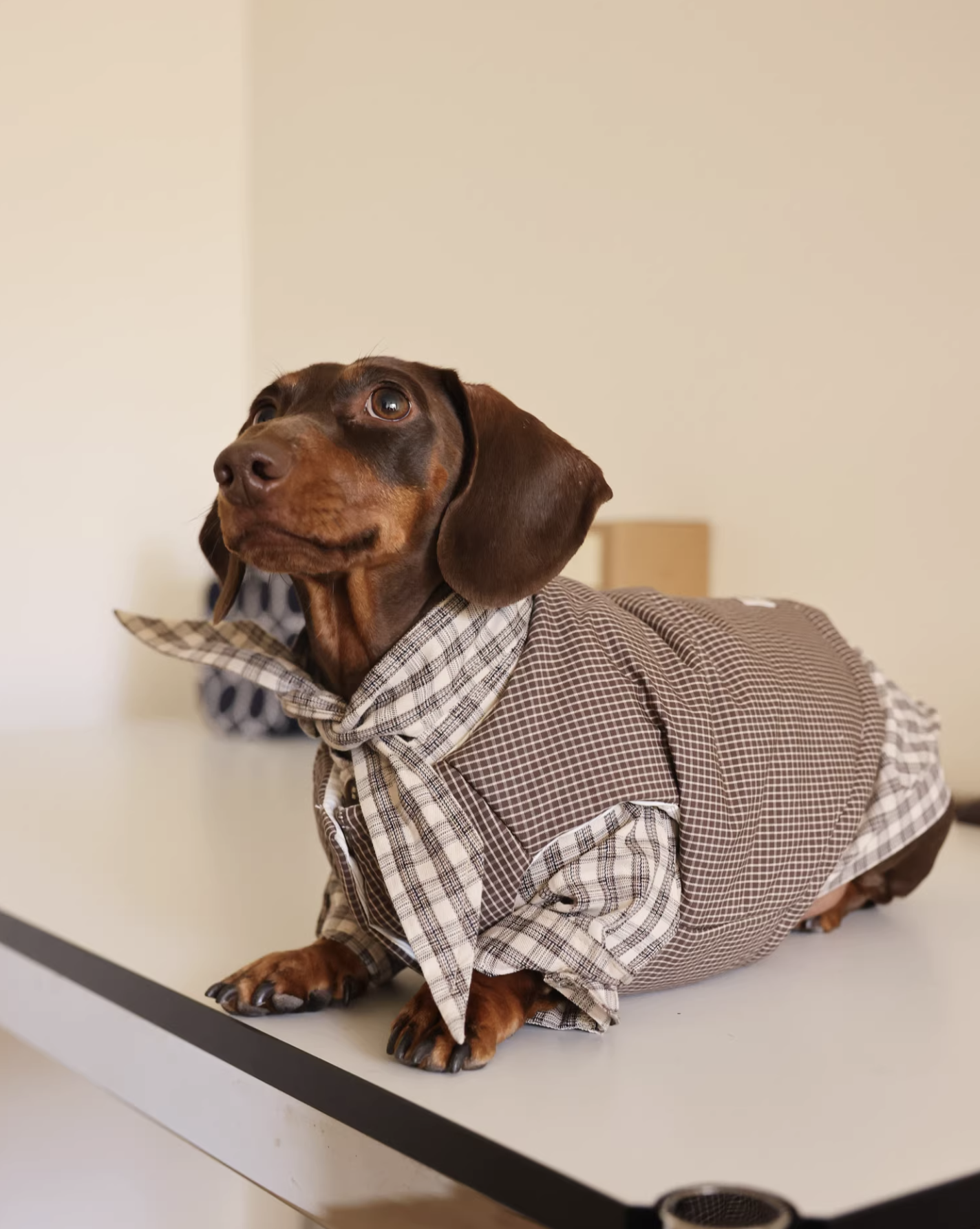 GT Series Hazelnut Plaid Tie-Neck Shirt