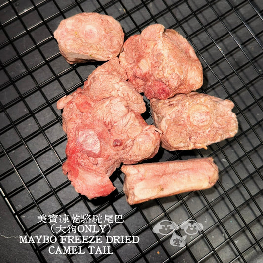 MAYBO Freeze-Dried Camel Tail 100g