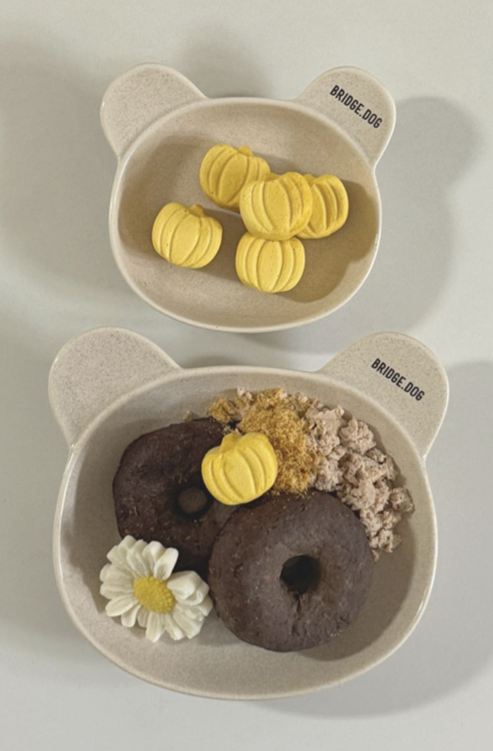 Bridge Dog Cozy Bear Dish