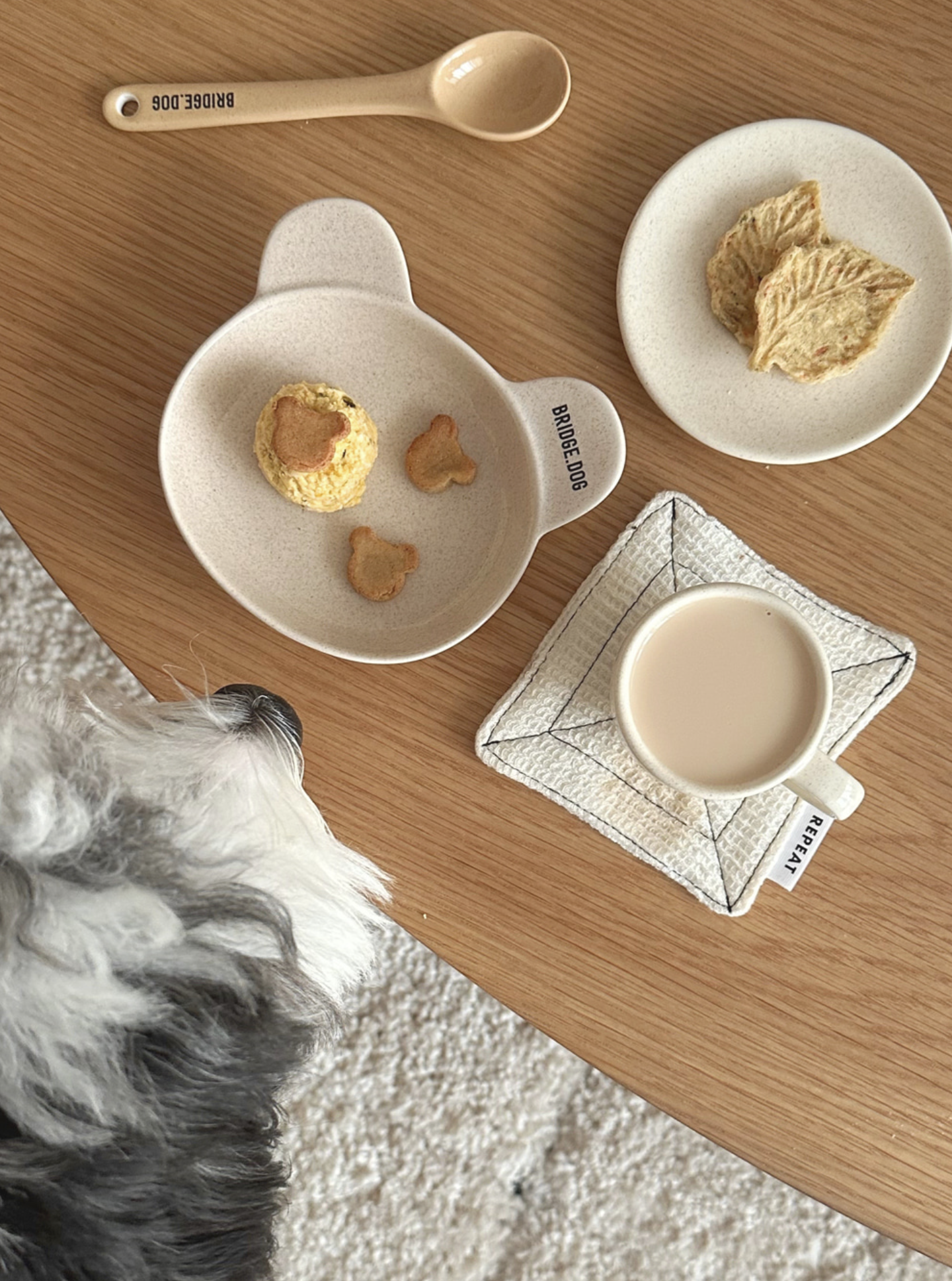 Bridge Dog Cozy Bear Dish