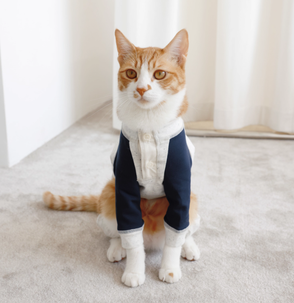 LG Series UPF50+ Anti-Bacterial Cooling Four-Legged Suit