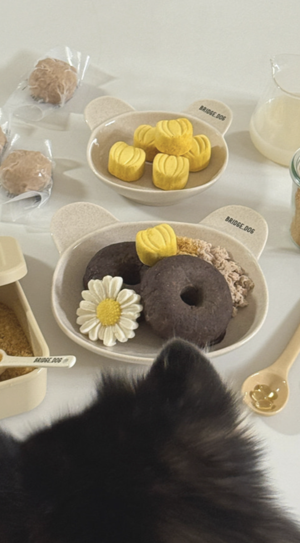 Bridge Dog Cozy Bear Dish