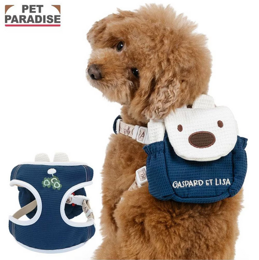 Lisa & Gaspard Lisa Face Backpack Harness