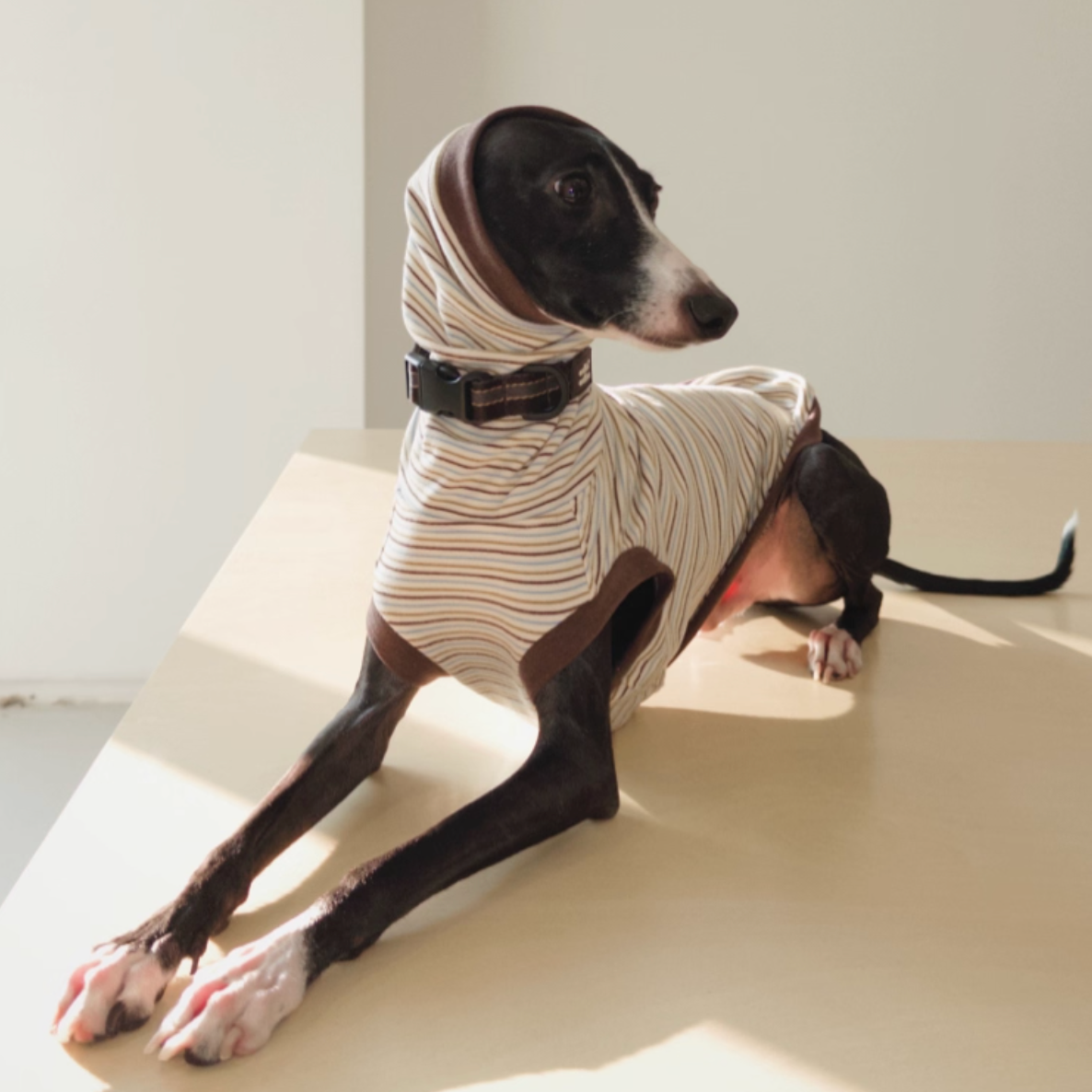 Choco Crepe Velvet Thermal Top with Hood