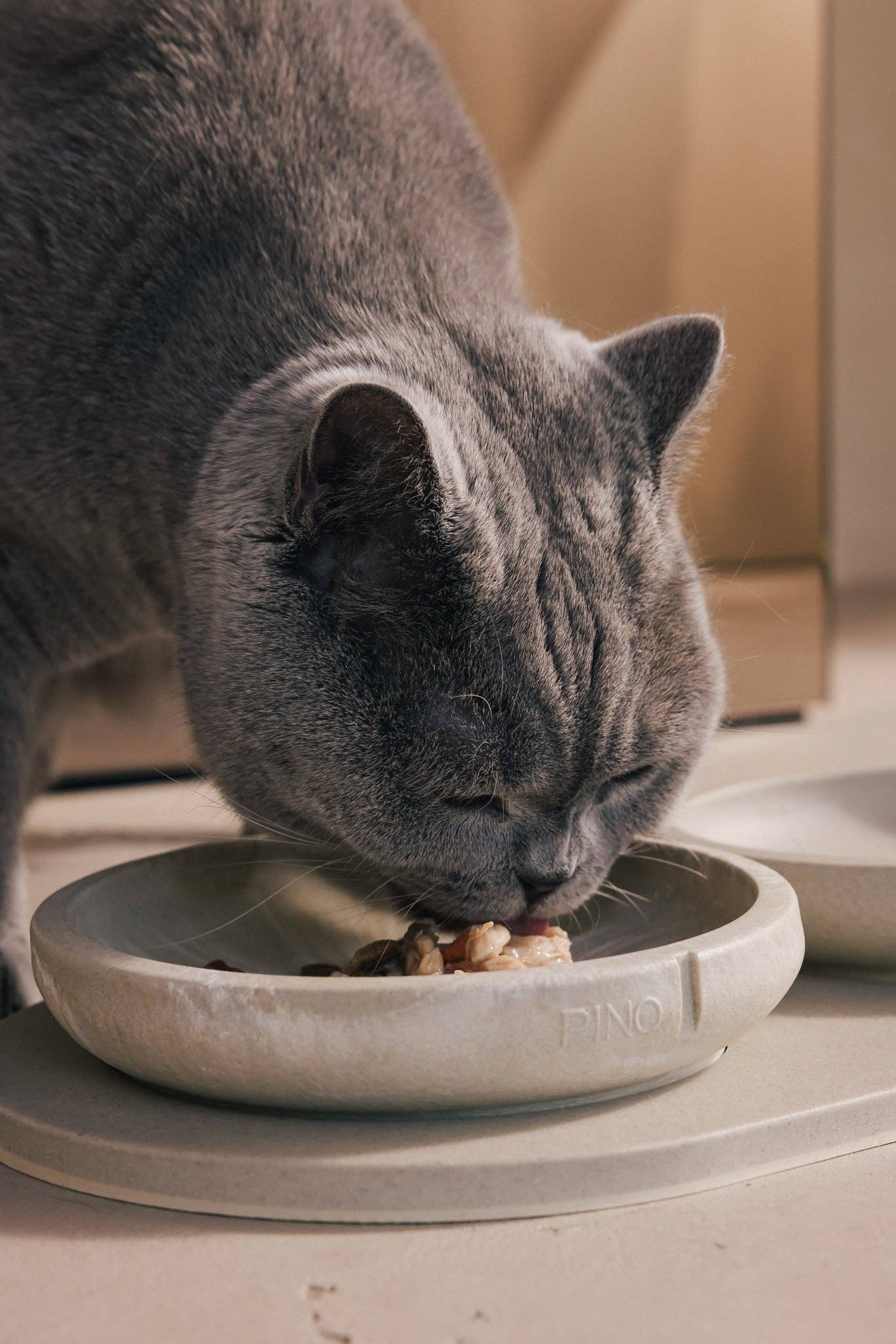 Whisker Friendly Bowl