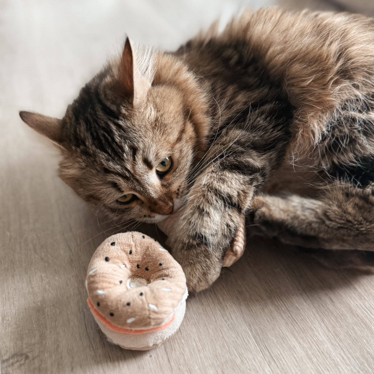 Kitty Pizza & Bagel Set | Cat Toy