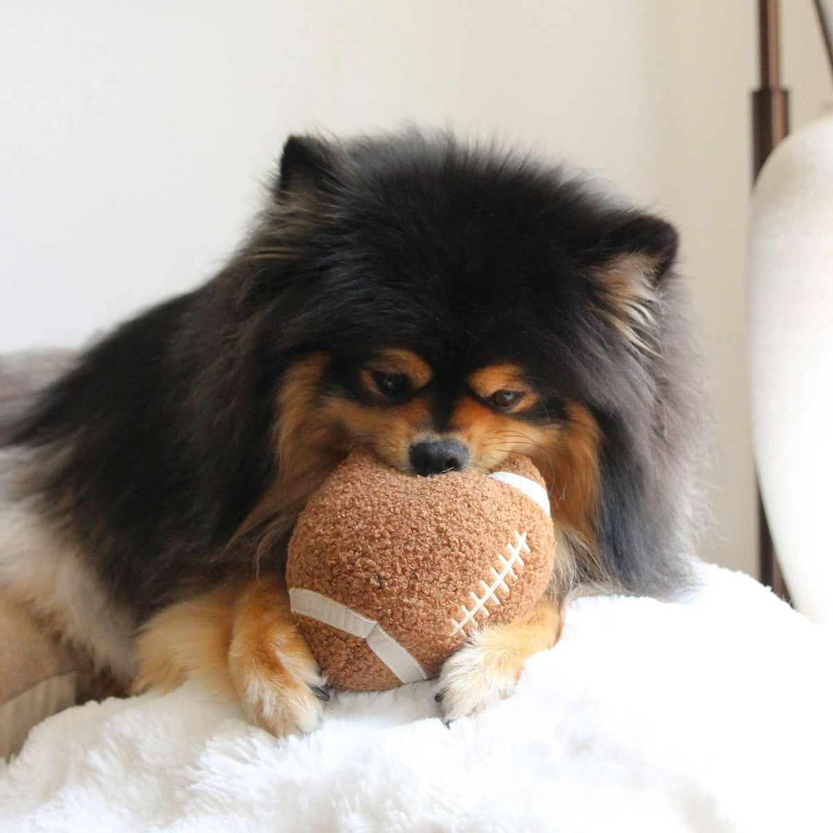 FOOTBALL // ENRICHMENT TOY SET// SNUFFLE + BURROW