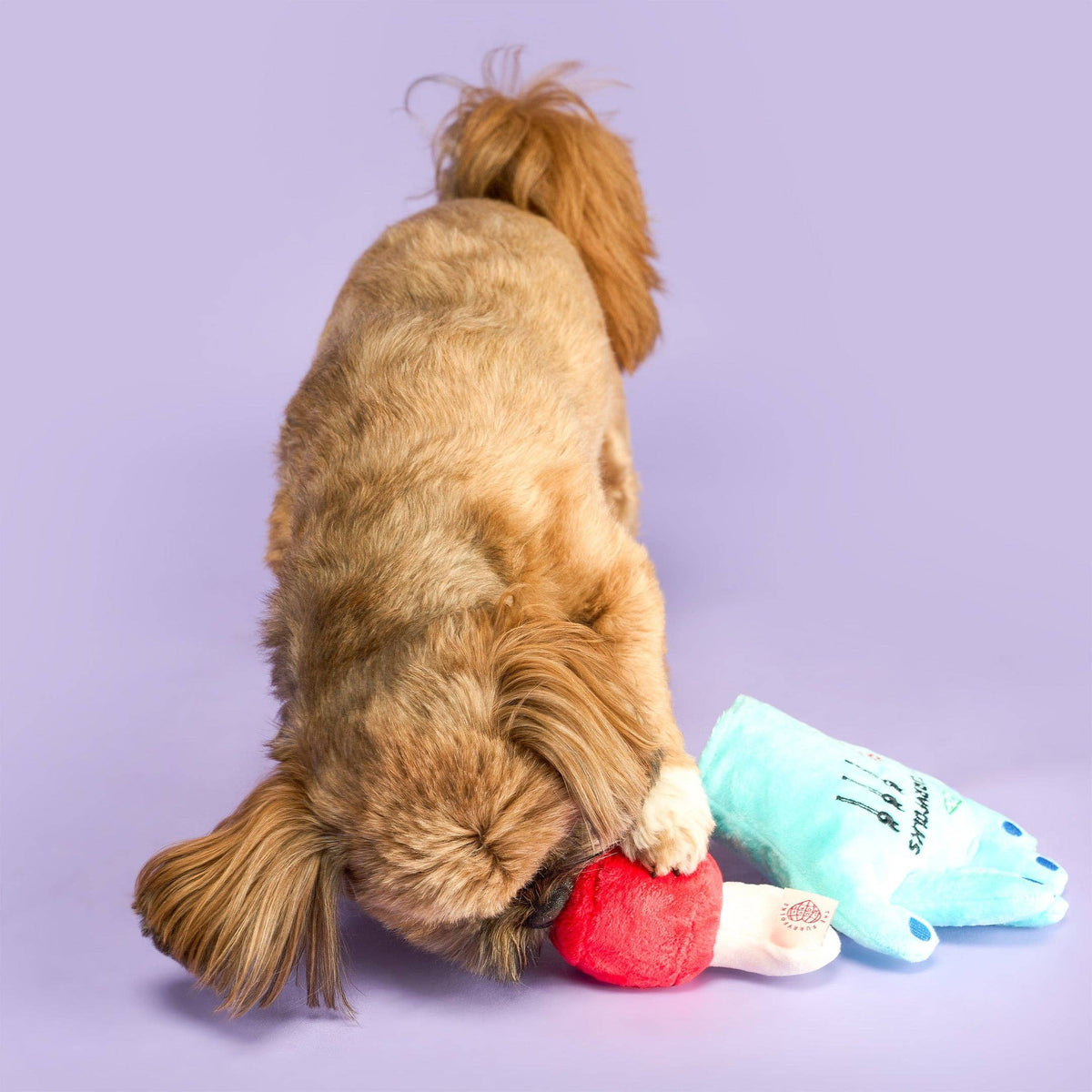 Lost Hand Nosework Toy