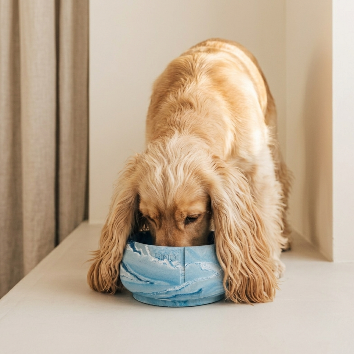 Long Ears Bowl - Bluebird Limited Edition